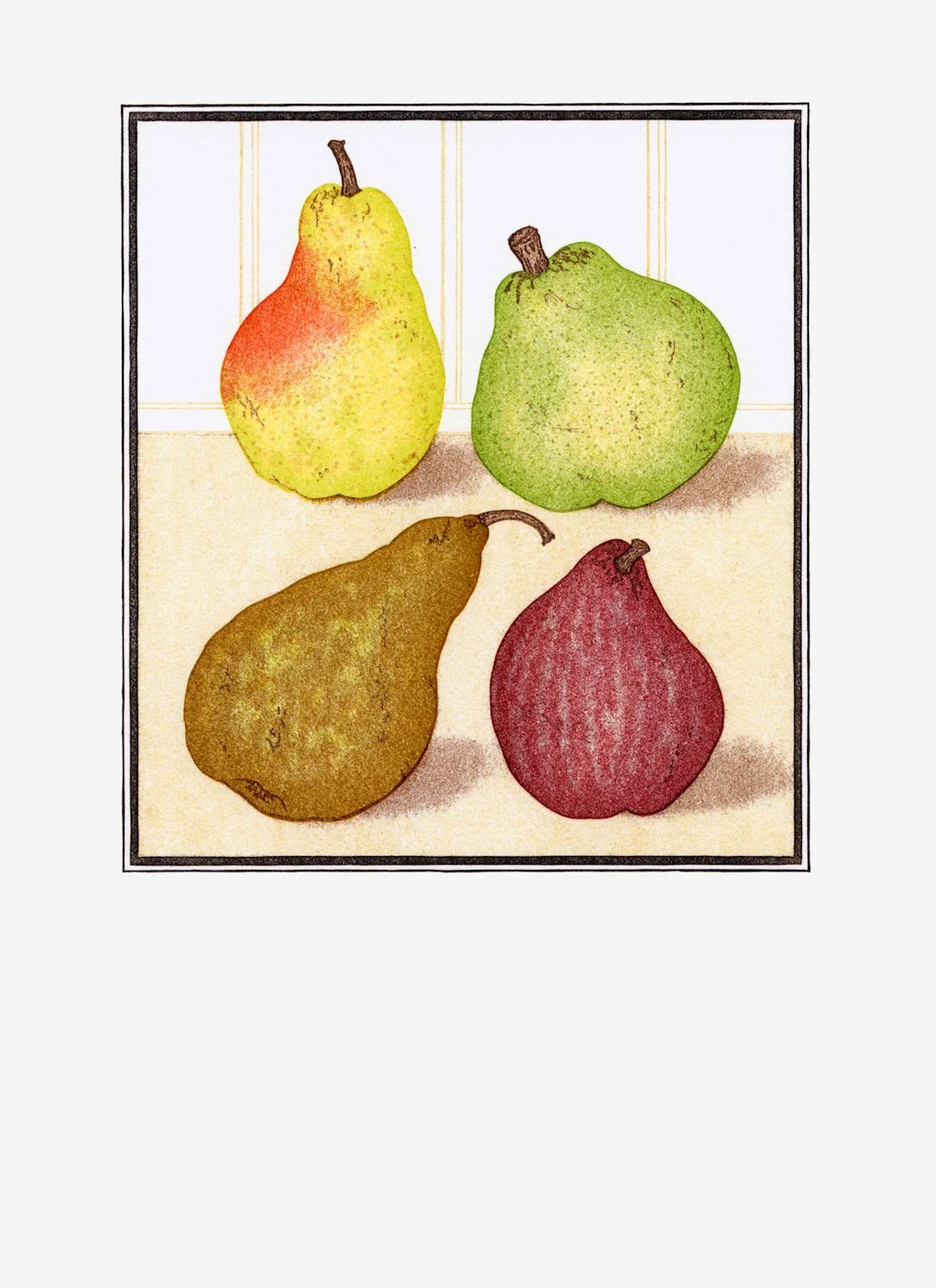 Fruit Prints — Patricia Curtan